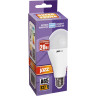 Лампа светодиодная JAZZWAY PLED POWER PLED-SP A65 20W E27 5000K 5009462