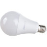 Лампа светодиодная JAZZWAY PLED POWER PLED-SP A70 25W E27 5000K 5018082A
