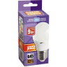 Лампа светодиодная JAZZWAY PLED POWER PLED-SP G45 9W E27 5000K 2859662A