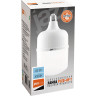Лампа светодиодная высокой мощности JAZZWAY PLED-HP-T120 40W E27/E40 6500K 1038944A
